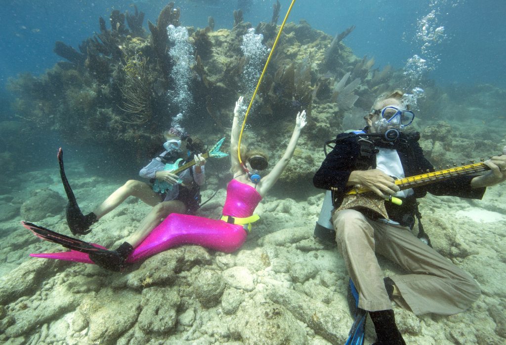 Chaque année il y a le Lower Keys Underwater Music Festival à Looe Key !