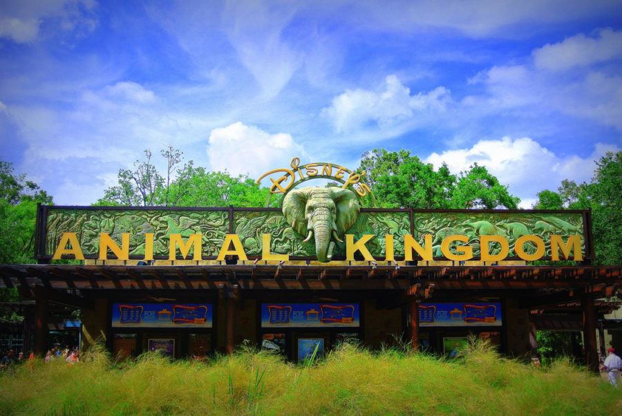 Disney’s Animal Kingdom