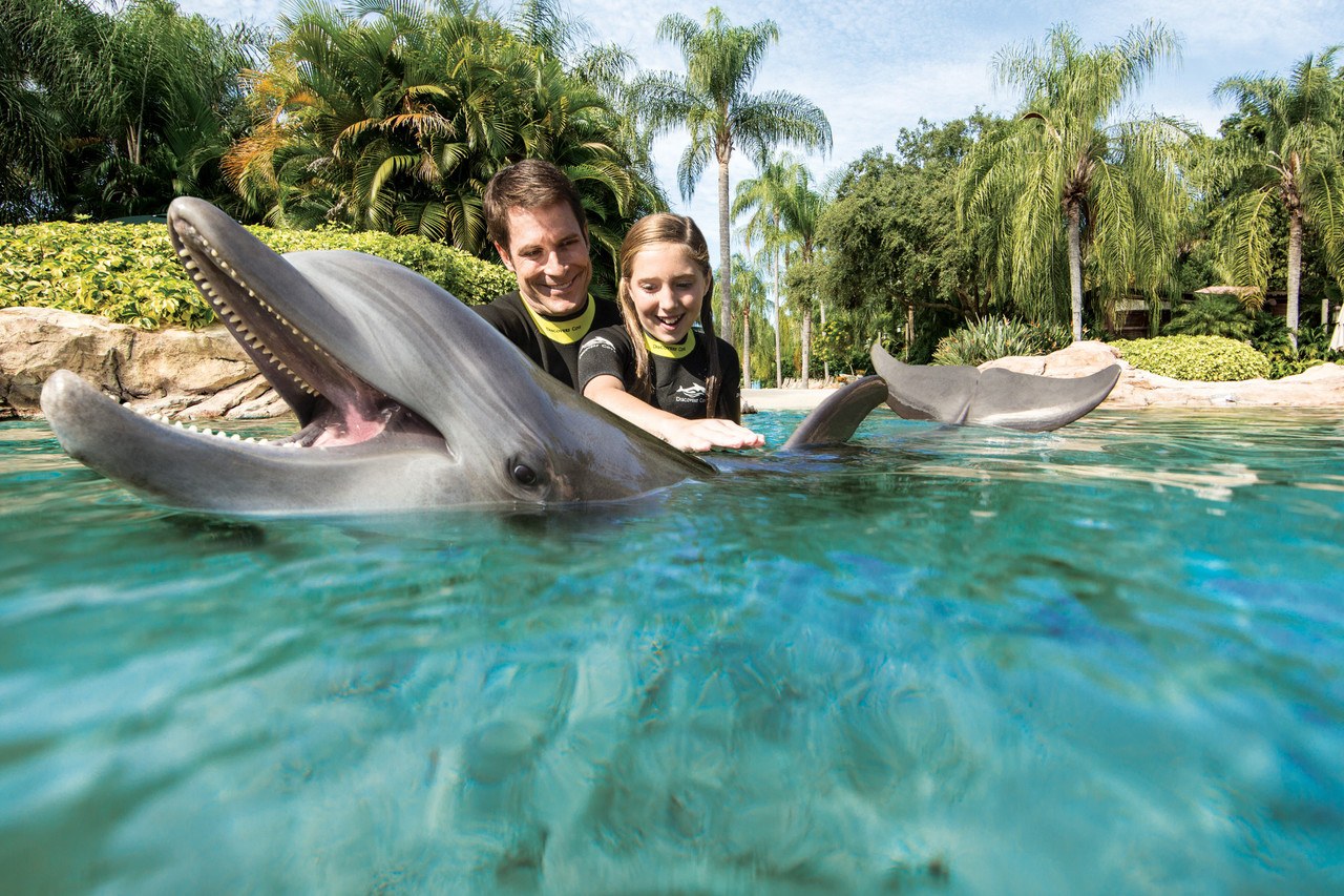 Discovery Cove Orlando
