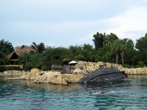 Discovery Cove Orlando