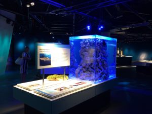Frsot Museum Miami