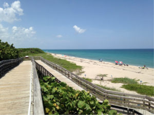 Palm Beach : John D. MacArthur Beach State Park, plage, mangrove