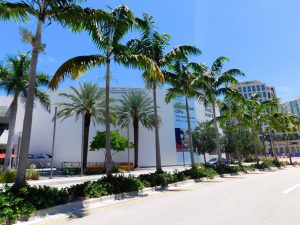 NSU Art Museum de Fort Lauderdale