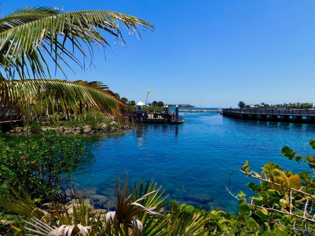 Snorkeling et plongée sous-marine dans le lagon de Peanut Island (à West Palm Beach en Floride)