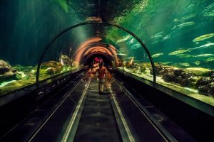 SeaWorld Florida