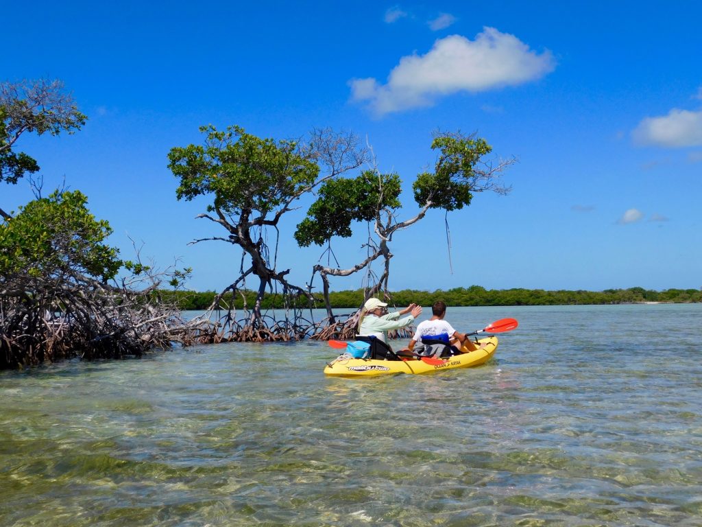 Backcountry des Lower Keys : Marvin Key et Barracuda Keys (Floride)