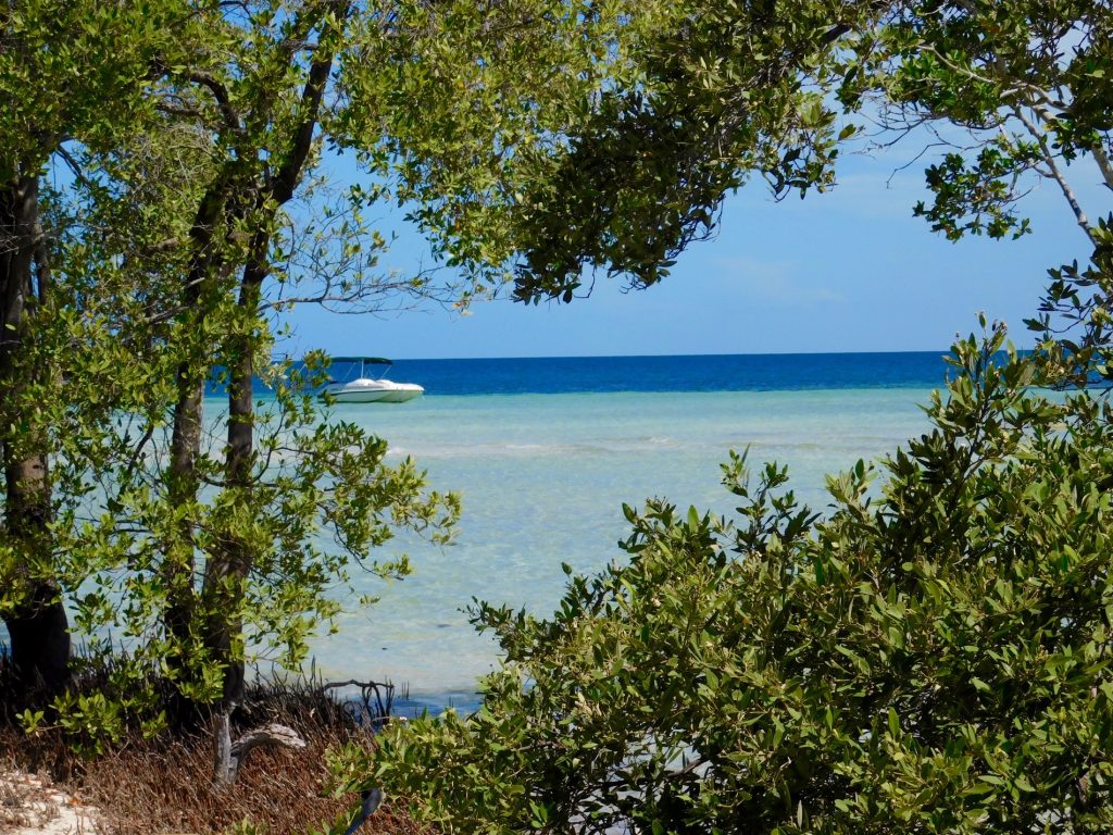 Backcountry des Lower Keys : Marvin Key et Barracuda Keys (Floride)