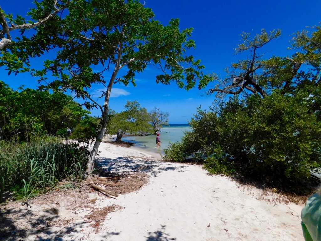 Backcountry des Lower Keys : Marvin Key et Barracuda Keys (Floride)
