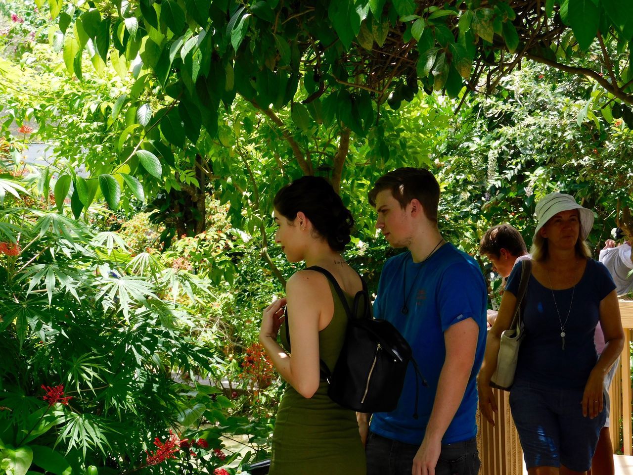 Butterfly World, le parc à papillons de Coconut Creek en Floride.
