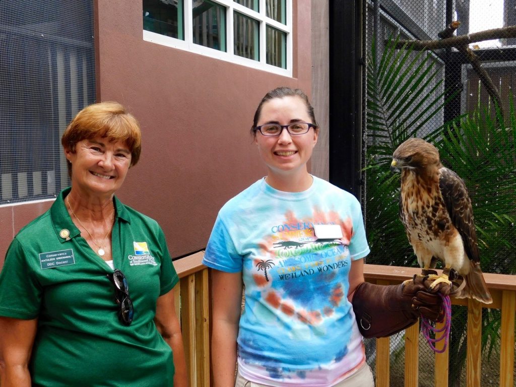 Kathleen, Plover et Horation (magnifique buse à queue rousse) au Conservacy of Southwest Florida à Naples en Floride