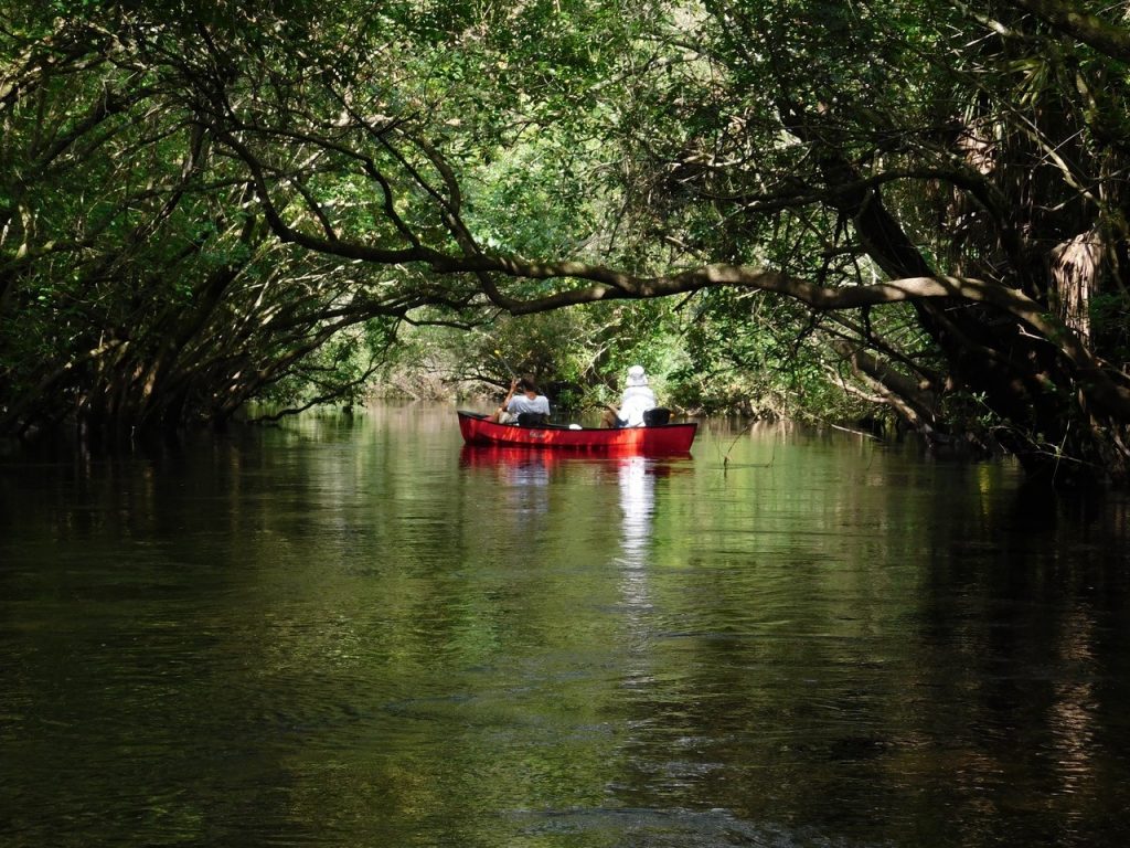 Descente en canoë-kayak de la Little Manatee River (à Wimauma, entre Tampa et Bradenton)