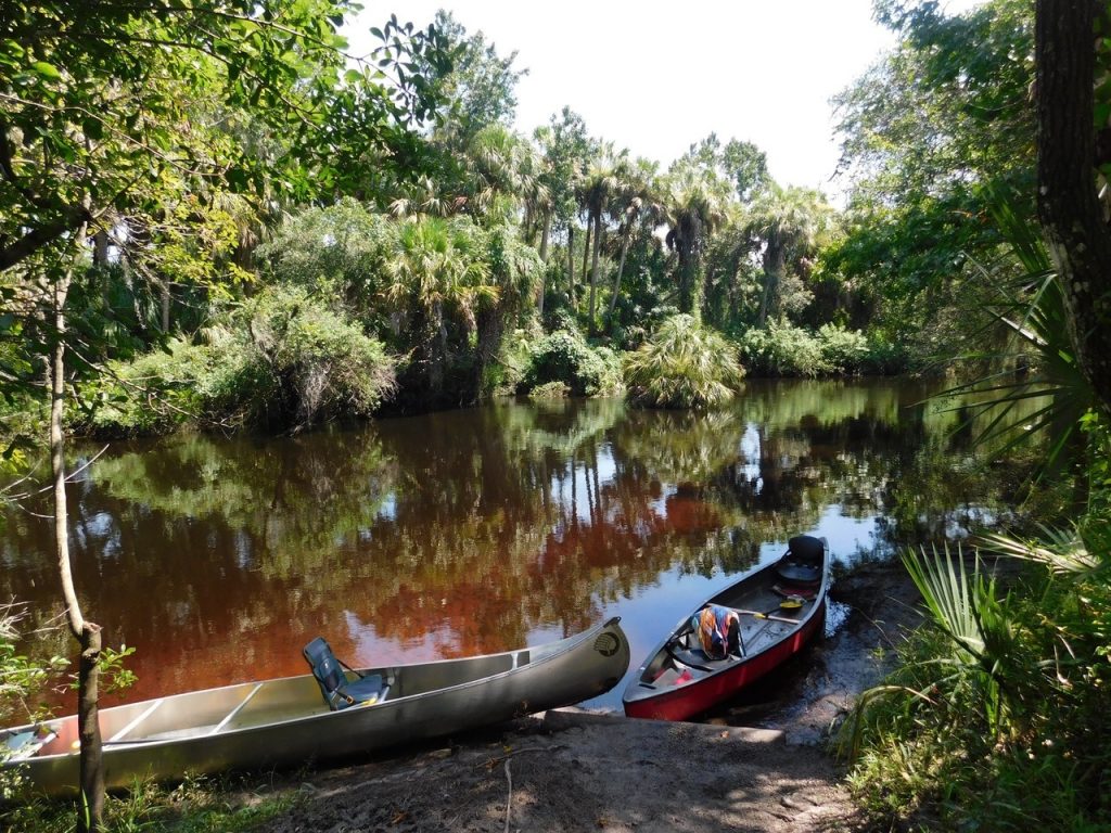 Descente en canoë-kayak de la Little Manatee River (à Wimauma, entre Tampa et Bradenton)