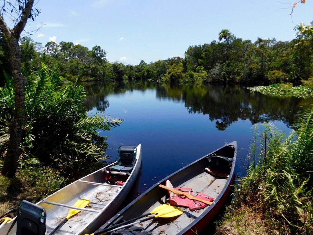 Descente en canoë-kayak de la Little Manatee River (à Wimauma, entre Tampa et Bradenton)