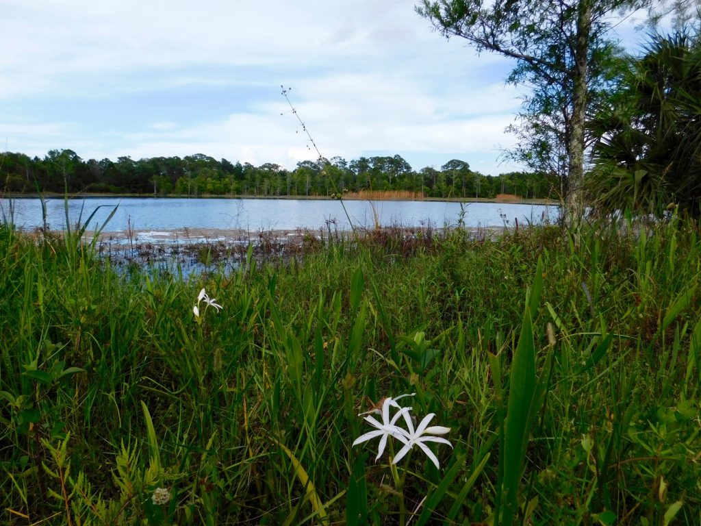 Riverbend Park à Jupiter (Floride)