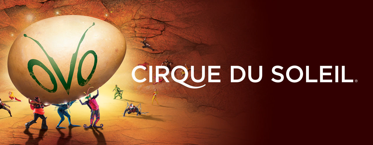 Cirque du Soleil Ovo à Miami et Sunrise