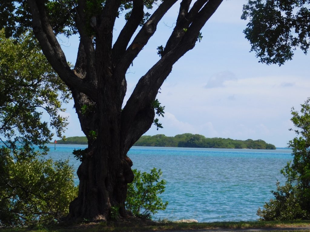 Plage à Indian Key, dans les Keys de Floride (et il s'agit d'une aire d'autoroute !!)