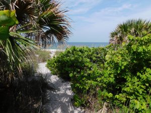 Plage sur l'île de Cayo Costa (entre Captiva et Boca Grande, dans le comté de Lee en Floride)