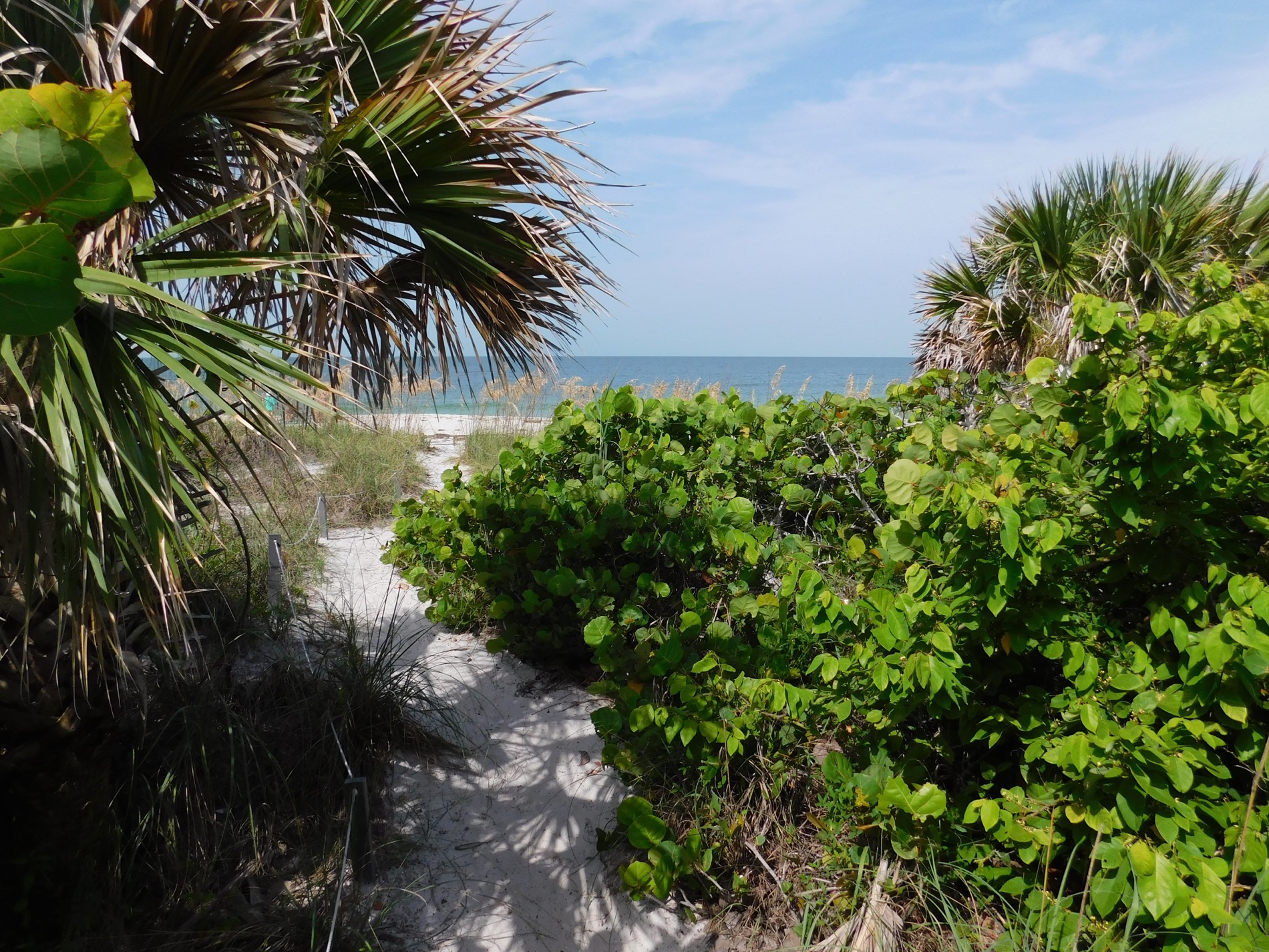 Plage sur l'île de Cayo Costa (entre Captiva et Boca Grande, dans le comté de Lee en Floride)