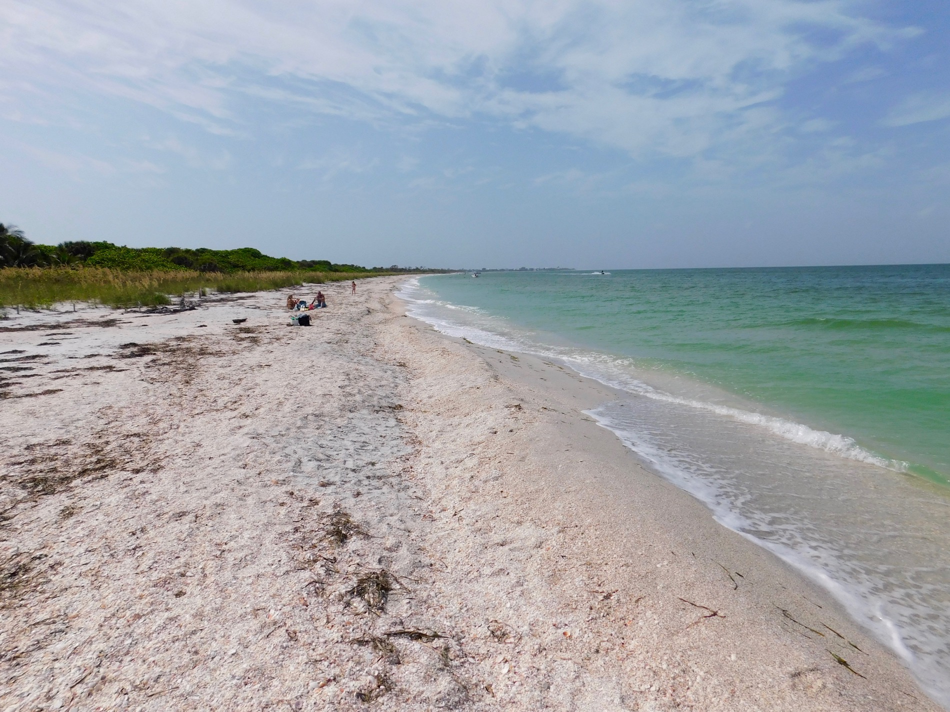 Plage sur l'île de Cayo Costa (entre Captiva et Boca Grande, dans le comté de Lee en Floride)