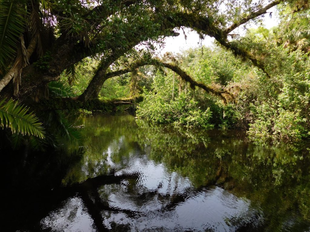 Koreshan State Historic Site (à Estero, en Floride)