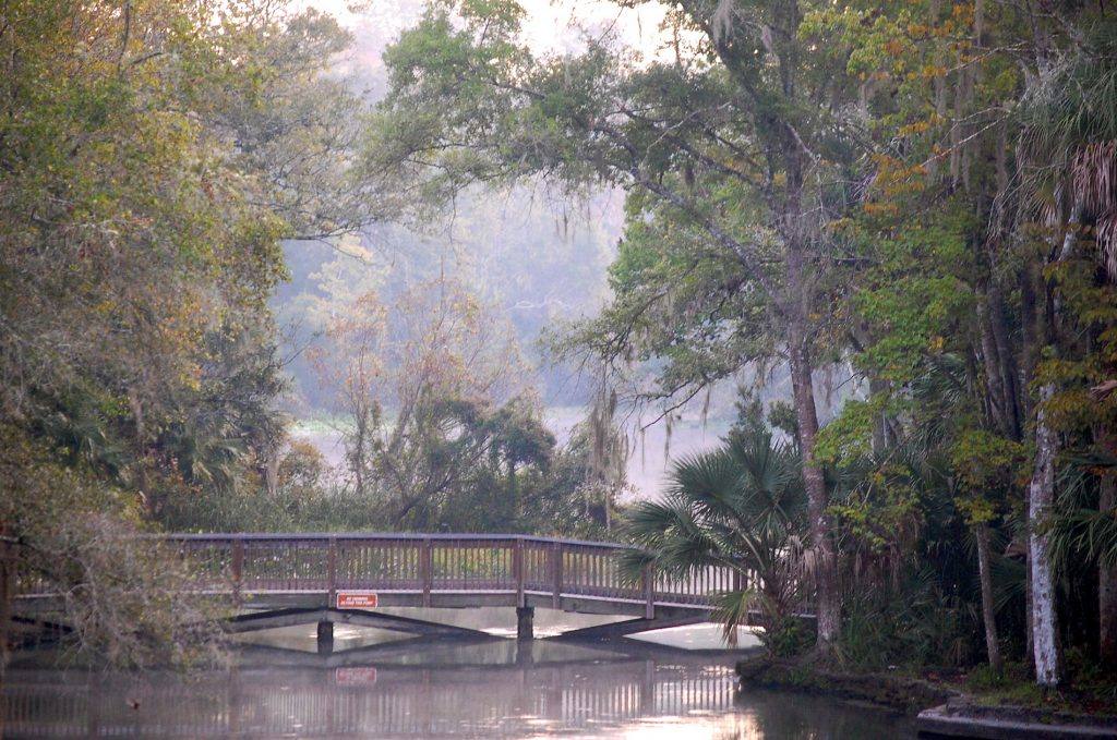 Wekiva Springs, idéal pour le kayak, à Apopka (près d'Orlando)