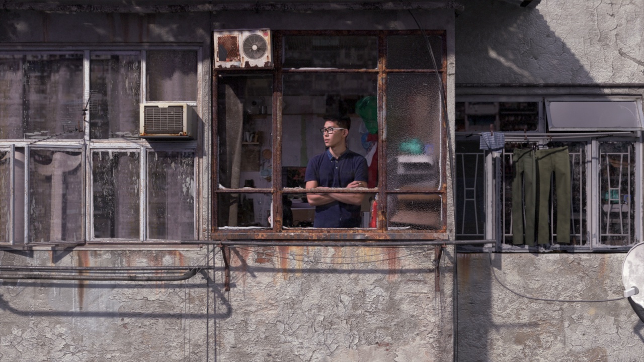 David Clearbout expose à Tampa