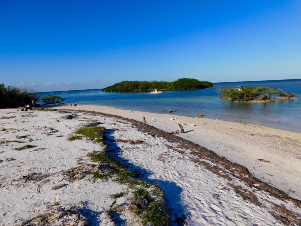 Plage sur l'île de Boca Chita Key, dans le Biscayne National Park