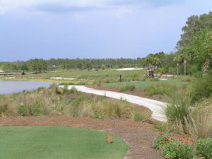Tiburon Golf Club Floride