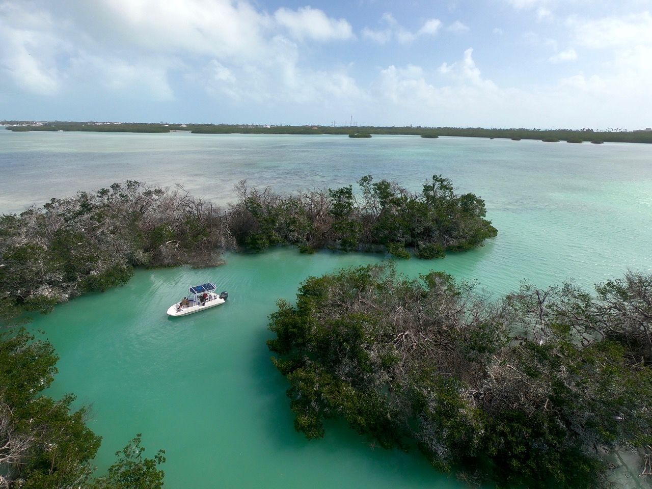 Shell Key, près d'Islamorada dans l'archipel des Keys de Floride