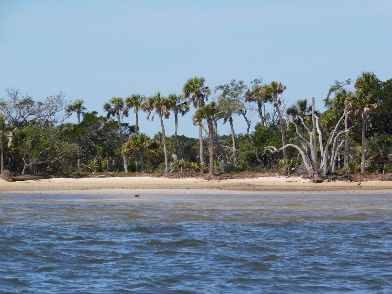 Seahorse Key, une île sauvage près de Cedar Key en Floride