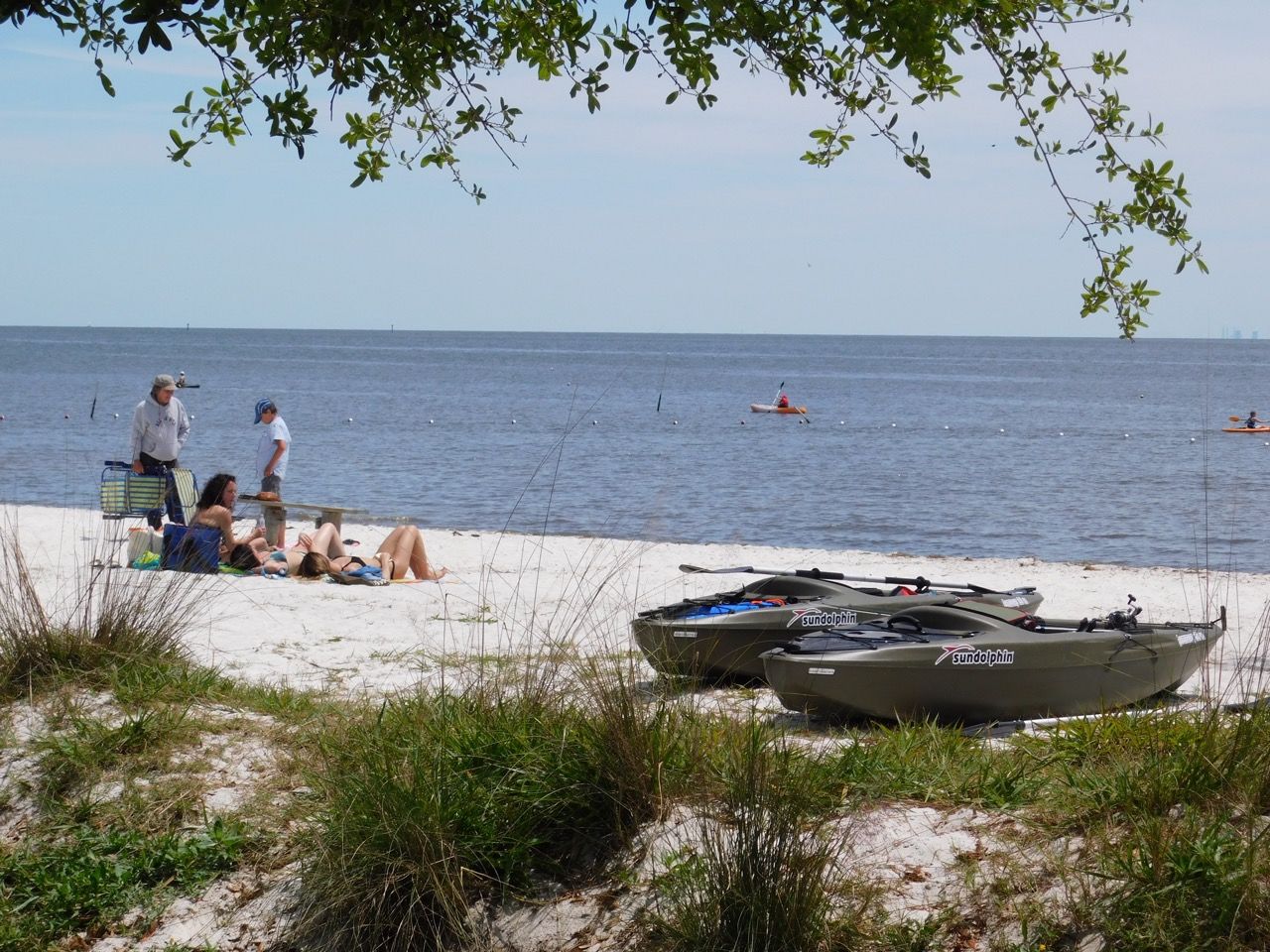 Île de Cedar Key, en Floride.