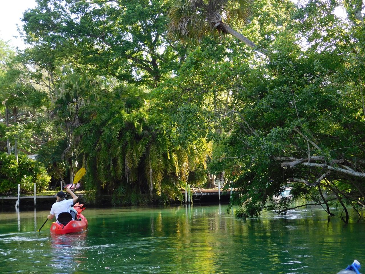 Kayak sur la Weeki Wachee River avec Kayak Shack