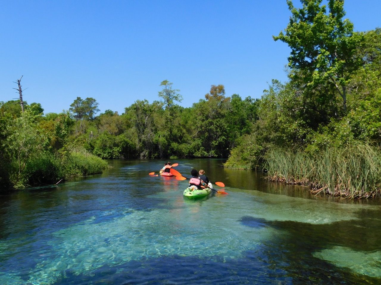 Le Weeki Wachee River State Park