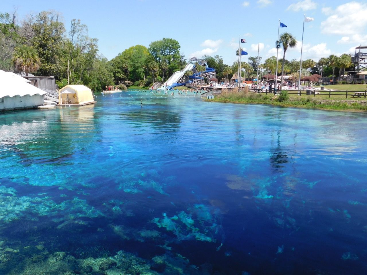 Le Weeki Wachee River State Park