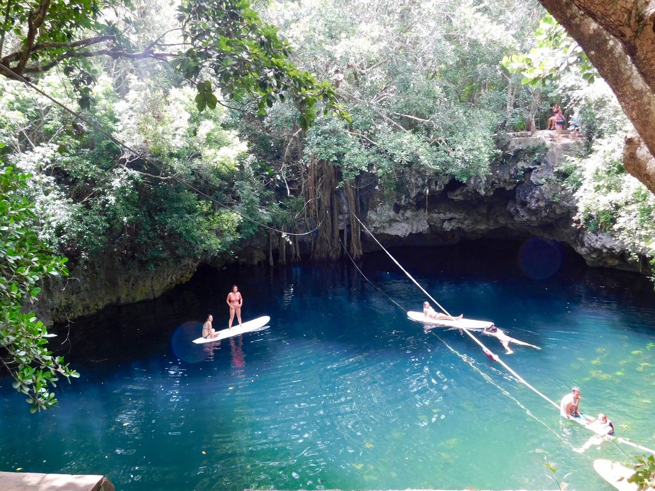 Cenote Verde Lucero de Puerto Morelos (près de Cancun au Mexique)