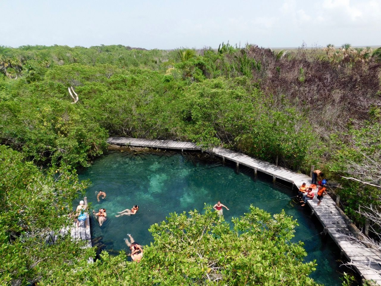 La cenote Yalahau, près de l'île de Holbox.