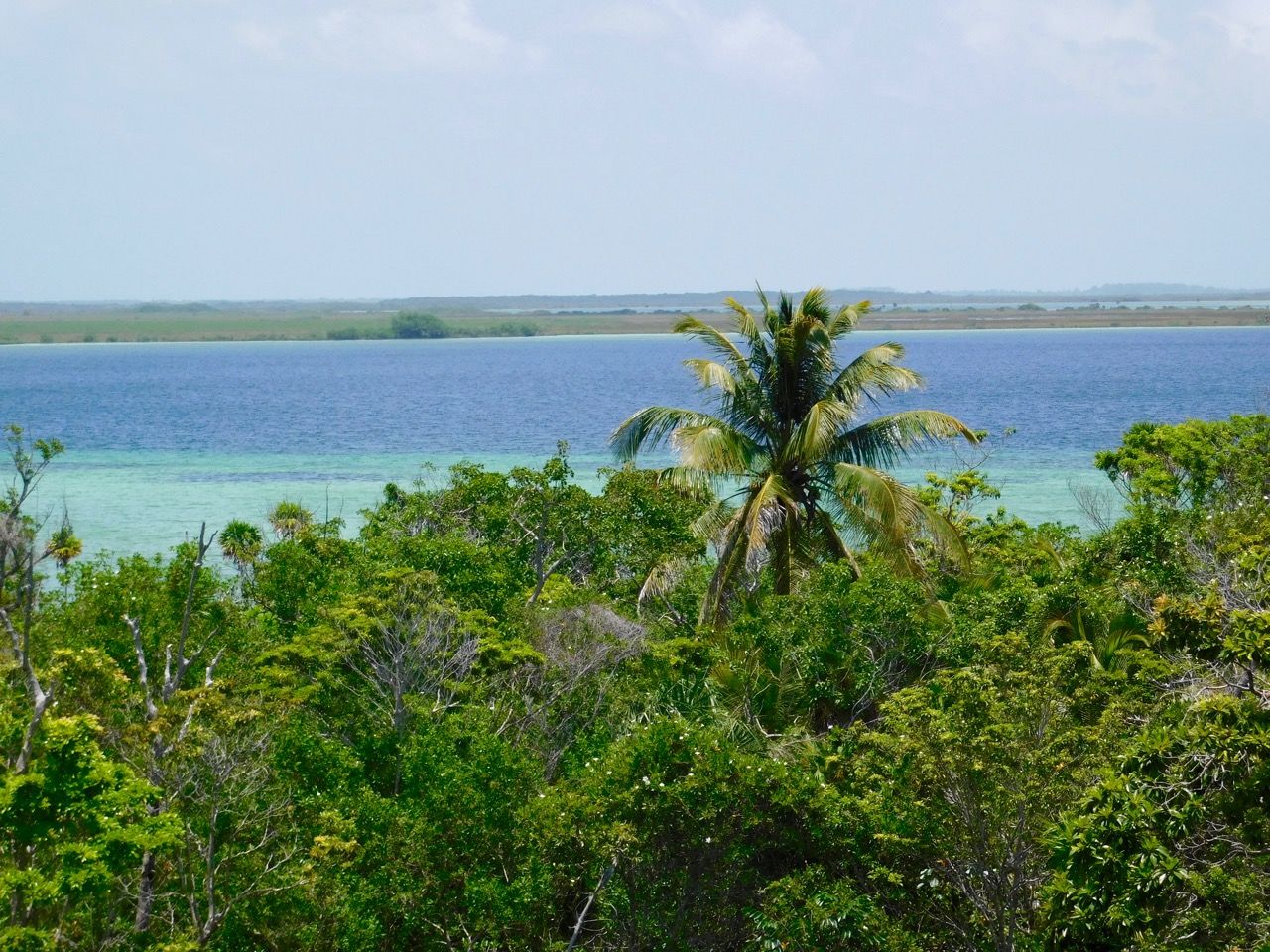 Sian Ka'an du côté de Muyil (au sud de Tulum)