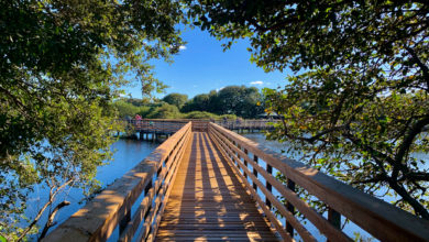 Wakodahatchee Wetlands à Delray Beach