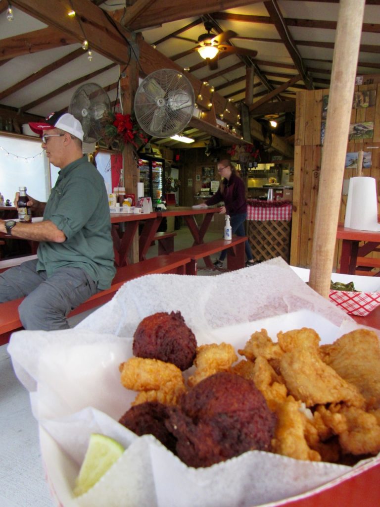 Beignets d'alligator au Babcock Ranch Preserve, à Punta Gorda en Floride