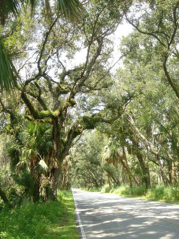 Martin Grade Scenic Highway