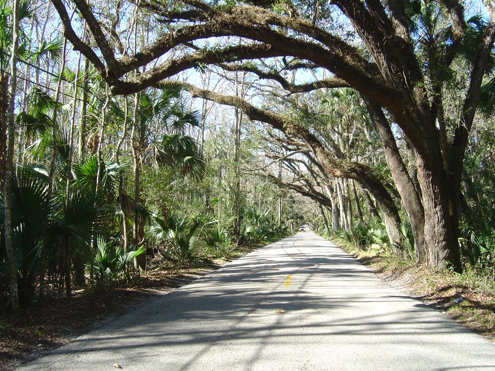 Ormond Scenic Loop & Trai