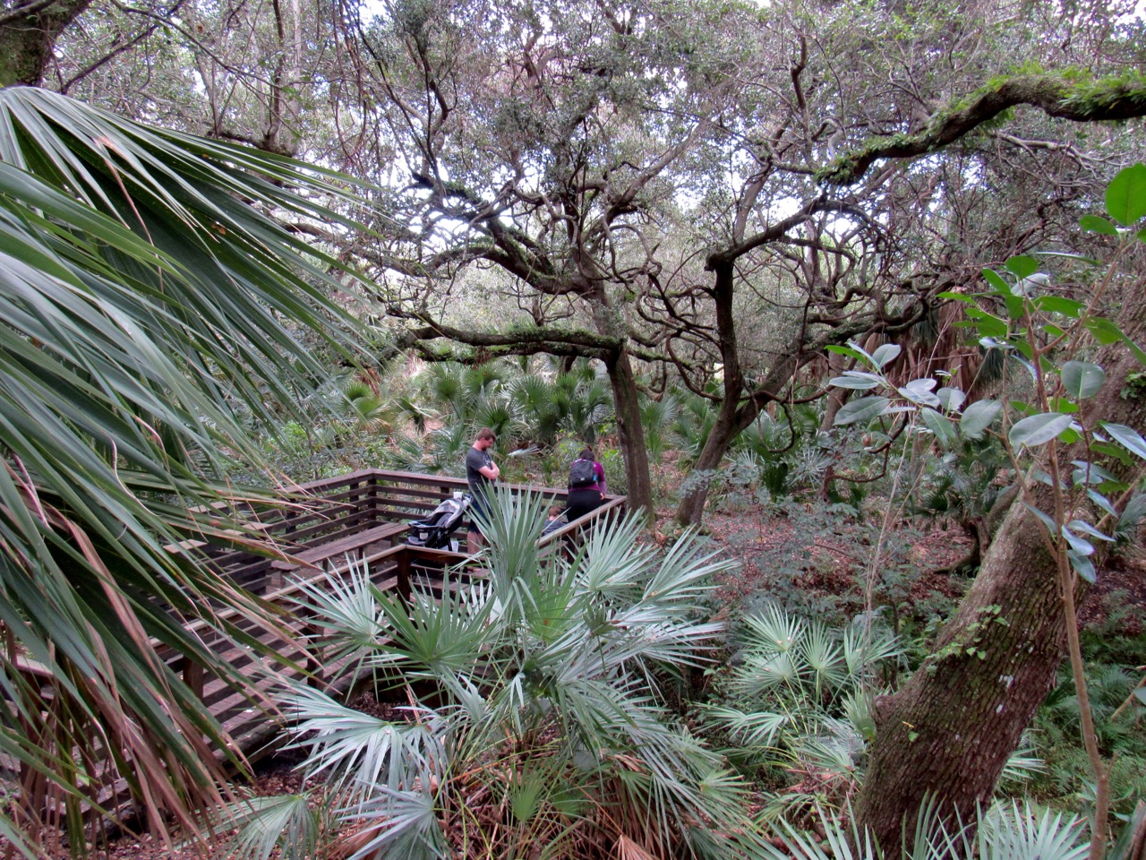 Parc Delray Oaks à Delray Beach en Floride