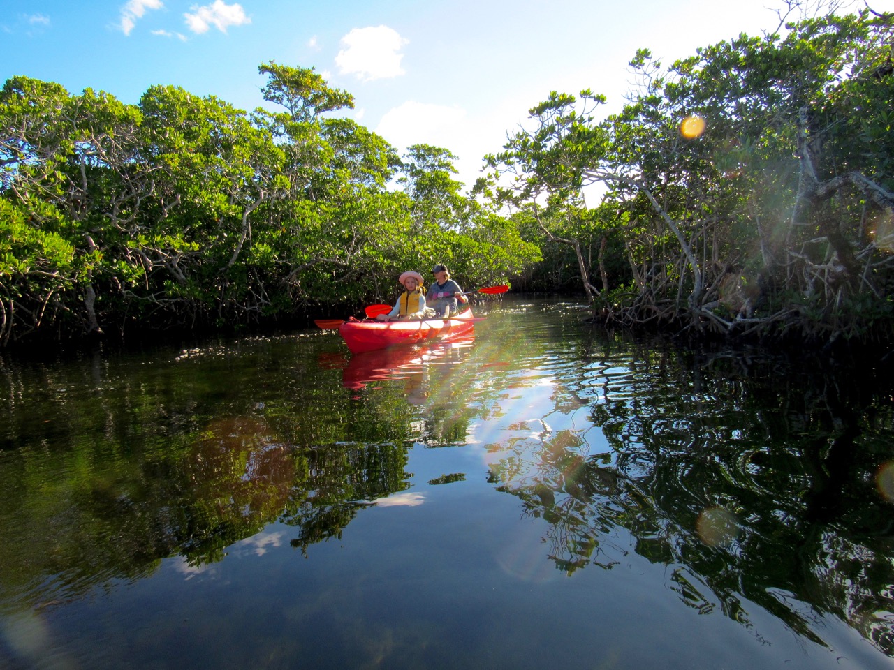 Kayak et canoë au John Pennekamp park de Key Largo, en Floride.