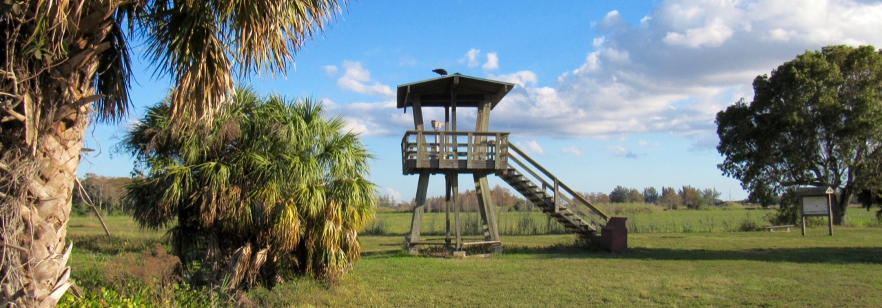 Les Everglades au Loxahatchee National Wildlife Refuge à Boynton Beach en Floride