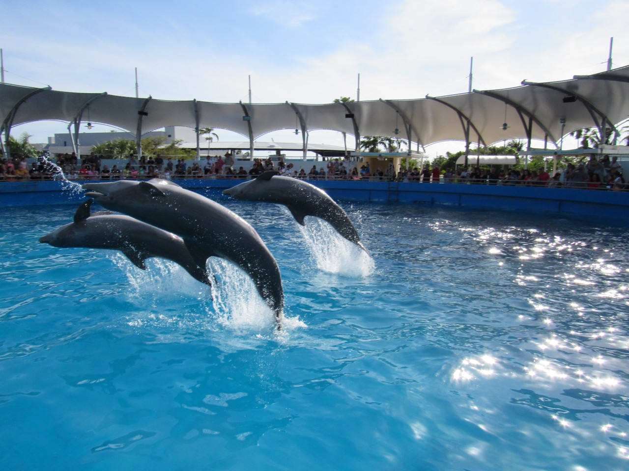 Miami Seaquarium