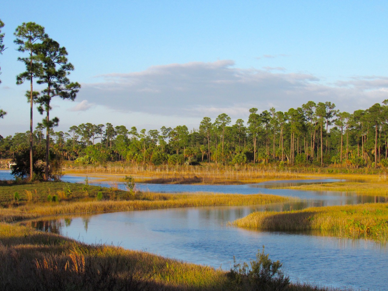 Okeeheelee Park de West Palm Beach en Floride