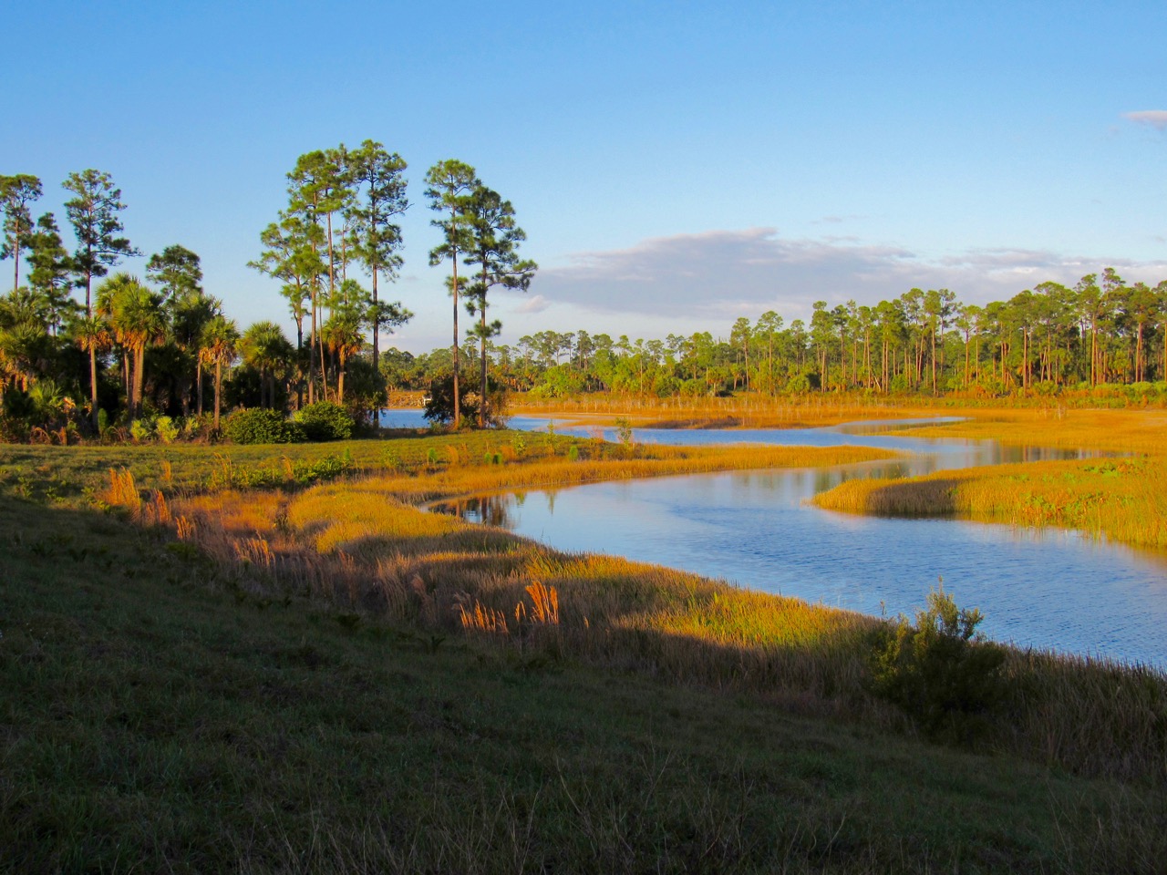 Okeeheelee Park de West Palm Beach en Floride