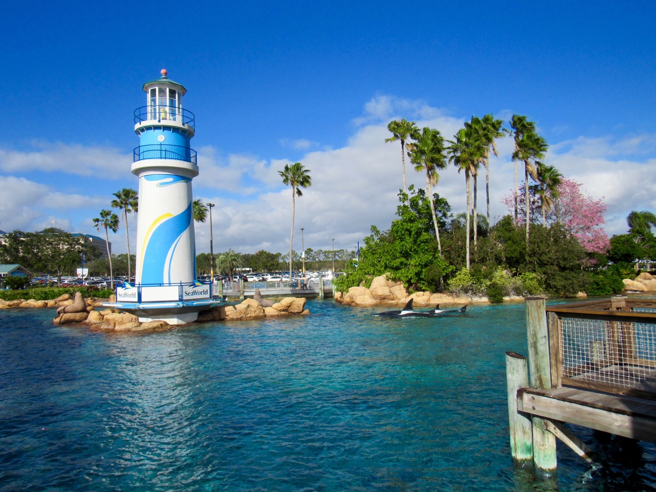 SeaWorld Orlando