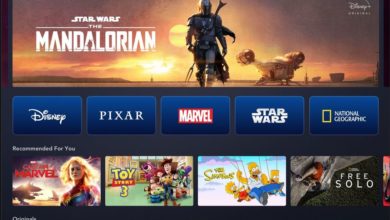 Disney+ The Mandalorian