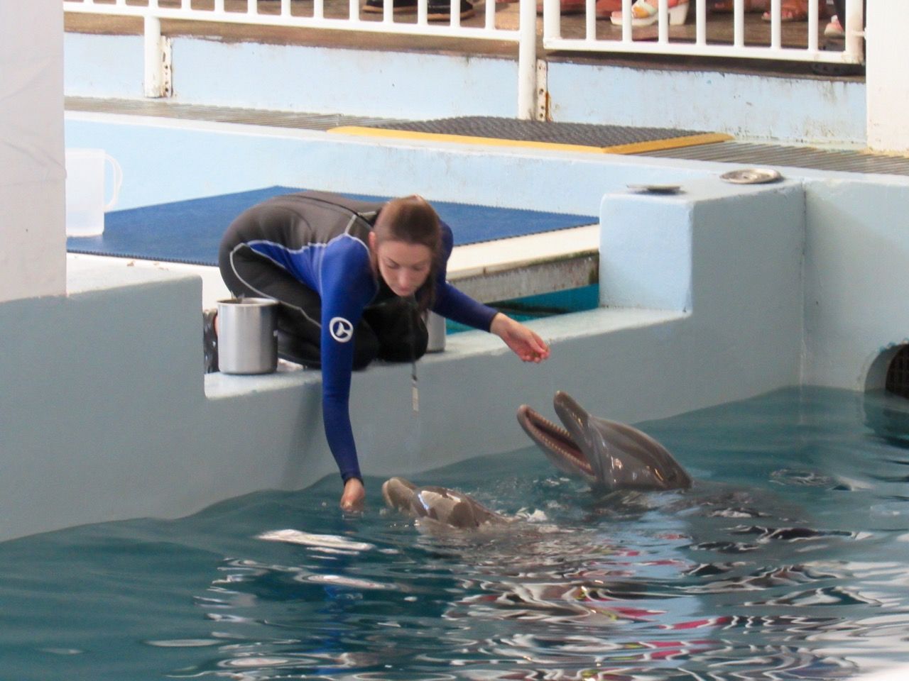 Clearwater marine Aquarium